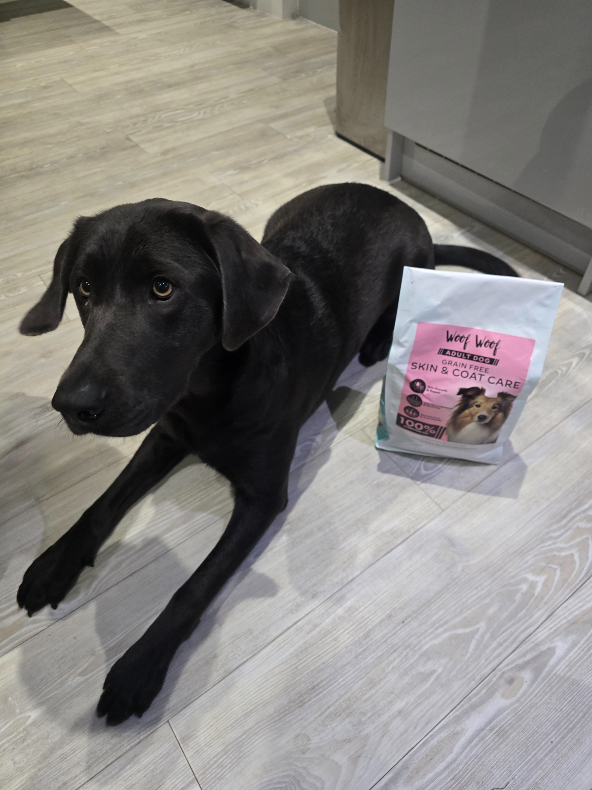 Collections – Direct Dog Food