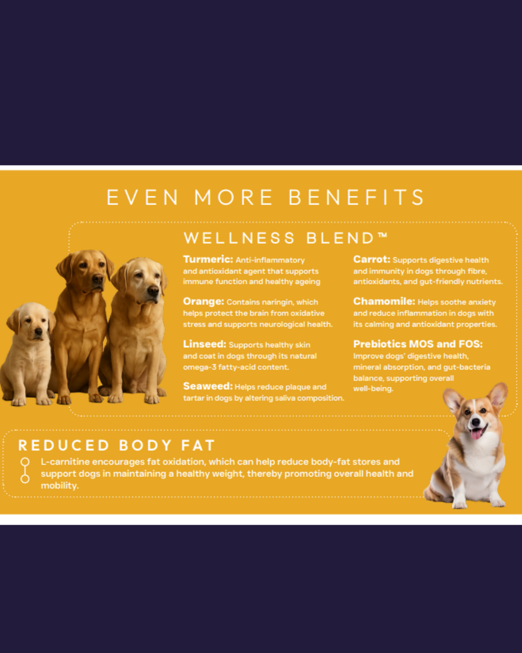 Peptide Healthy Living image 2