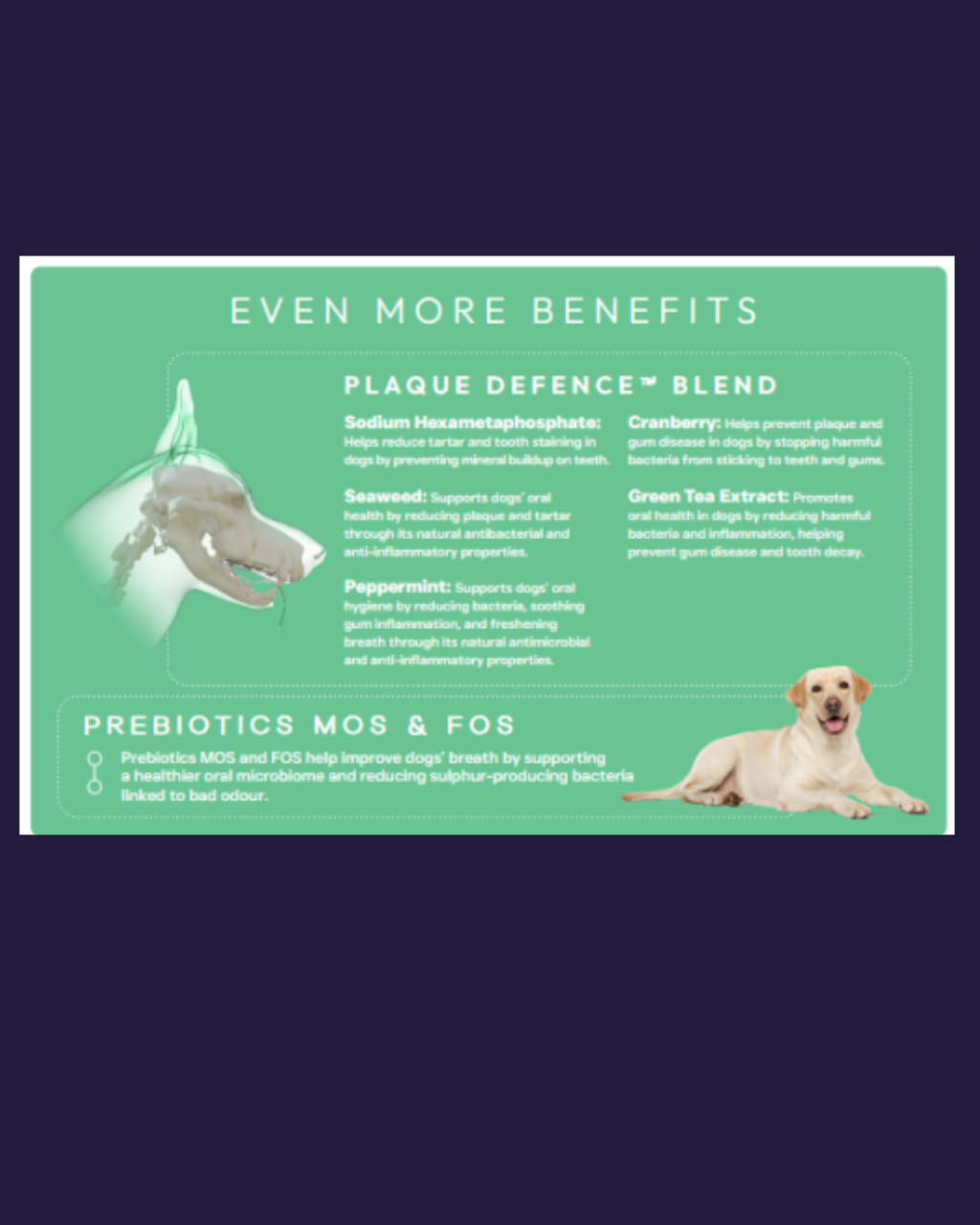 Peptide Dental Care image 1