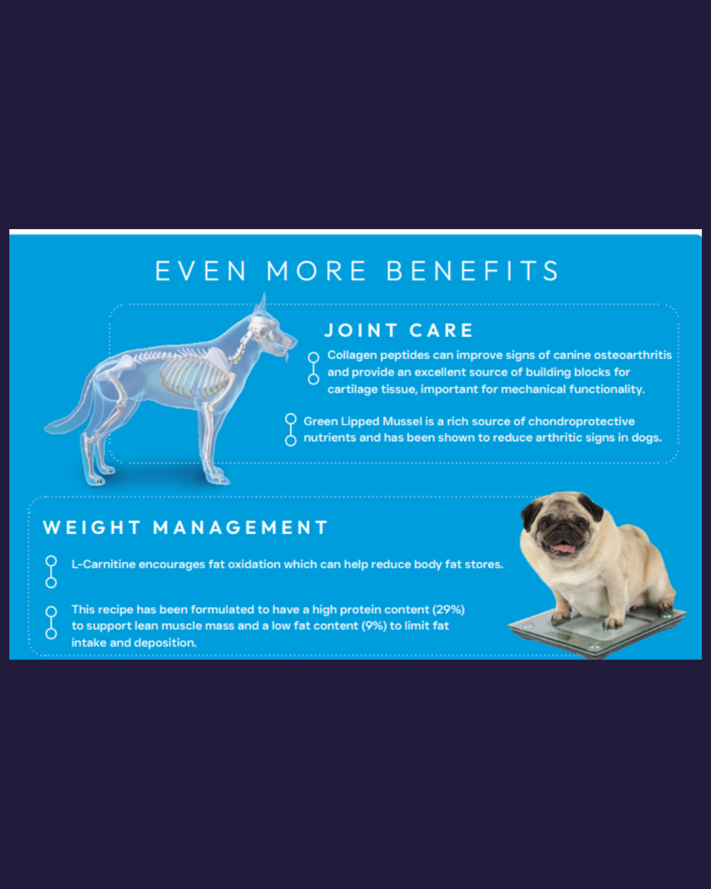 Peptide Weight Control and Joint Care image 1