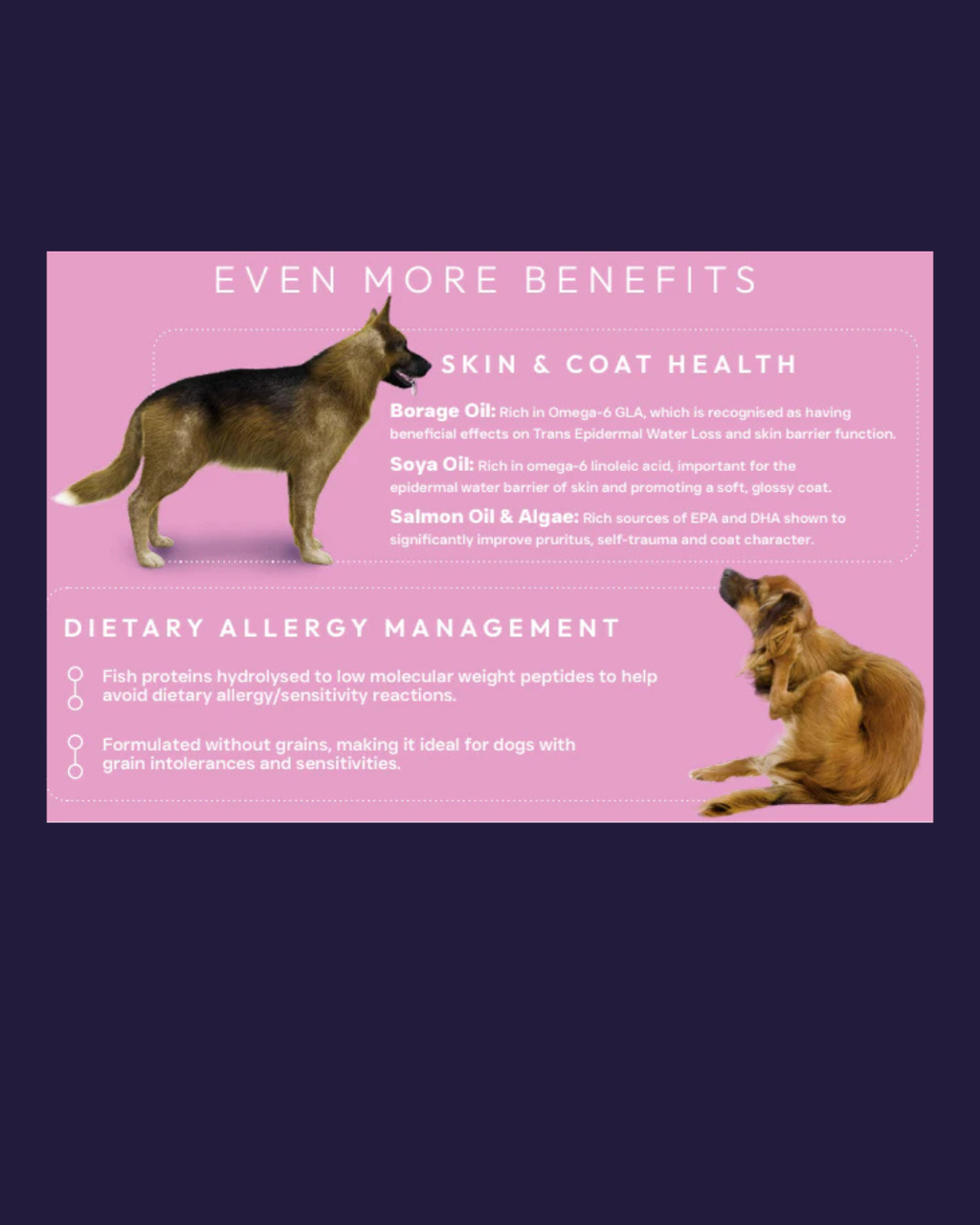 Peptide Skin and Coat Care image 4