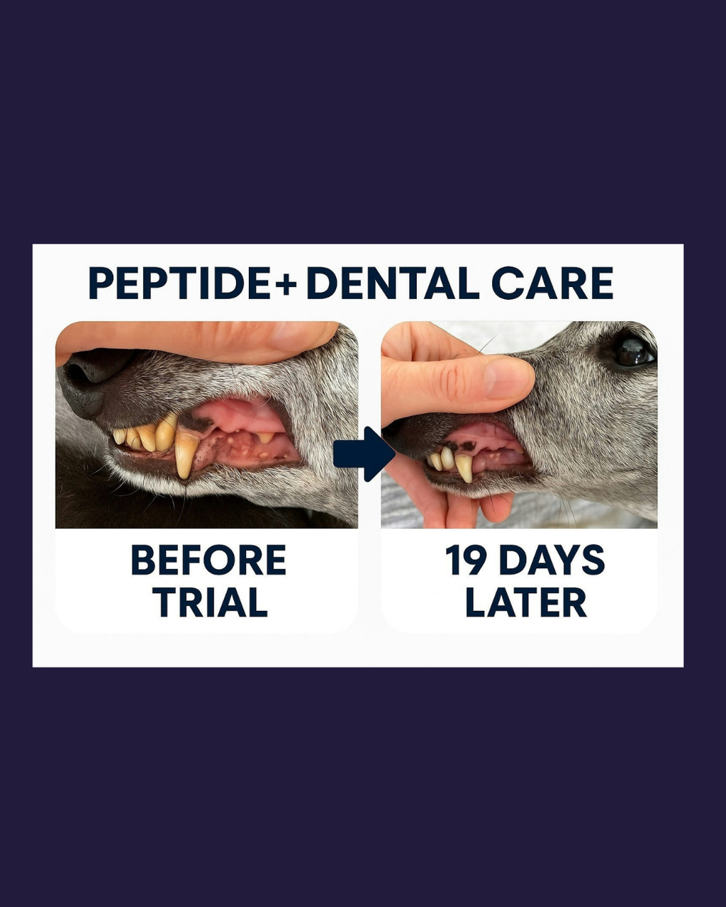 Peptide Dental Care image 4