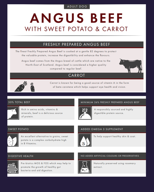 Angus Beef, Sweet Potato and Carrot Grain Free image 1