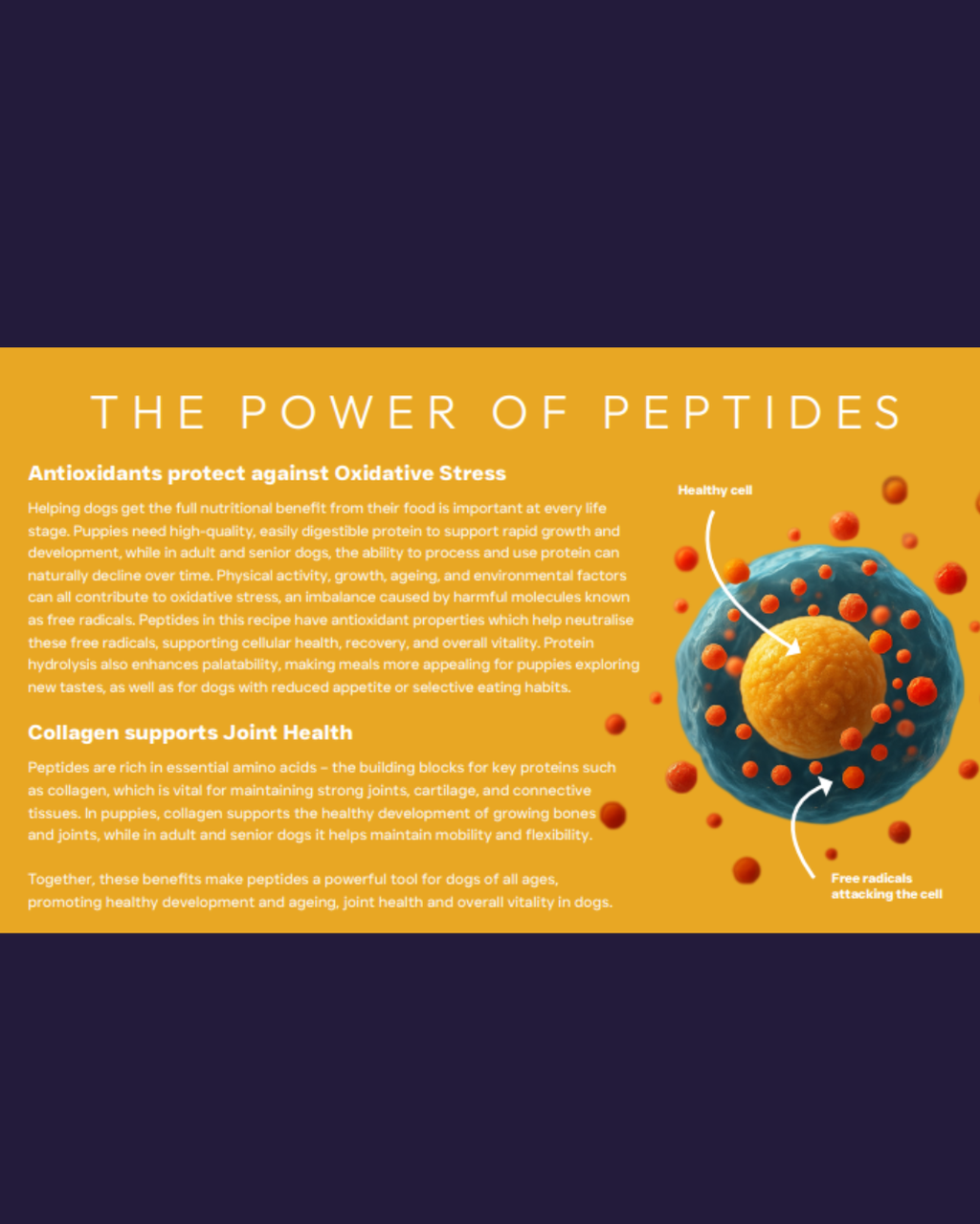 Peptide Healthy Living image 4